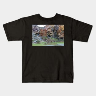 The Old Barrington Quarry Kids T-Shirt